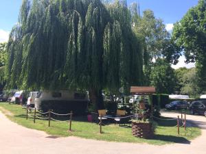 Campings Camping Du Paquier Fane : photos des chambres