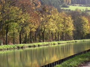 Campings Camping Du Paquier Fane : photos des chambres