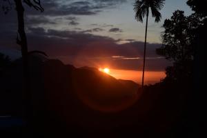 Mango Shadow Inn Ella