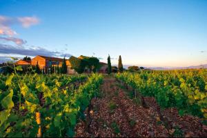 Hotels ibis Styles Perpignan Canet En Roussillon : photos des chambres
