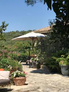 B&B / Chambres d'hotes La Borie en Provence : photos des chambres