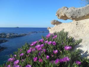 Traditional House by the Sea Milos Greece