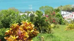 B&B Plage Des Raisiniers - La Moïse