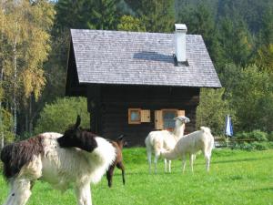 Chata Hütte zum Verlieben Gurk Rakousko