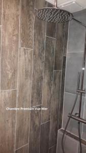 Hotels Hotel Les Brises : photos des chambres