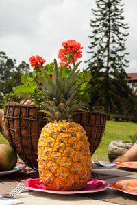 Matisses Hotel & Spa