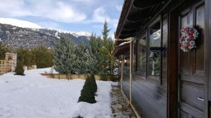 Mountain Chalet Livadi