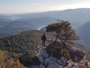 Apartamentos La Borda Castillon