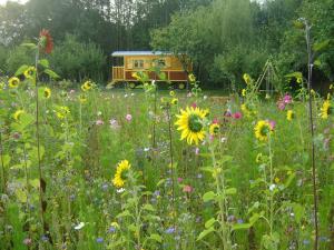 Les Roulottes de Saint-Sulpice