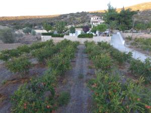 Traditional Guest House Grandma Vitsa in Ermioni Argolida Greece