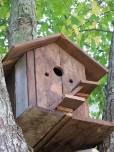 B&B / Chambres d'hotes Le Domaine des Gauliers : photos des chambres