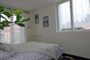 Appartements Le Clos Des Orangers : photos des chambres