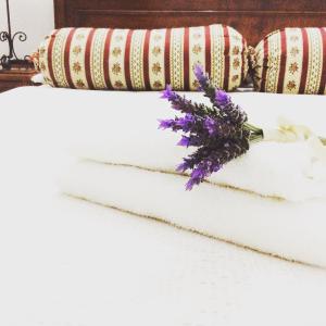 Residence Sa Pintadera img4