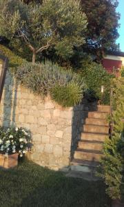 il corbezzolo - Suite