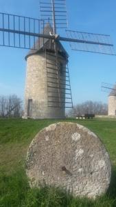 Maisons d'hotes Domaine Mongiron : photos des chambres