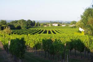 Maisons d'hotes Domaine Mongiron : photos des chambres