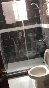 SFMverdana Rental