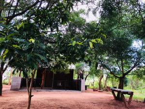 The Summer Corridor - Kataragama