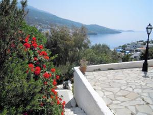 Blue Dolphin Andros Greece