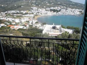 Blue Dolphin Andros Greece