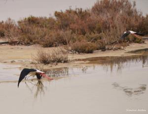 Agriturismo Is Solinas img60