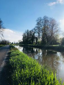 Campings Camping Du Paquier Fane : photos des chambres