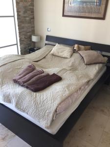 Apartament "Czantoria"