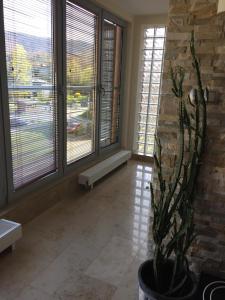 Apartament "Czantoria"