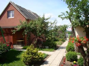 Domek Domki nad Morzem "Dom Turysty MAG" Świbno Polska