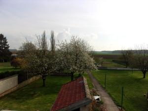 Maisons de vacances Gite a la campagne : photos des chambres