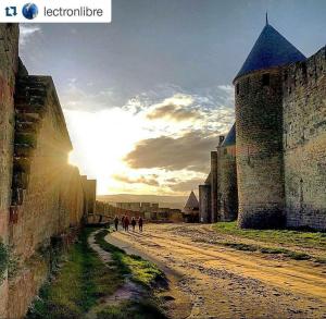 Maisons de vacances Gite CATHARE en OCCITANIE : photos des chambres