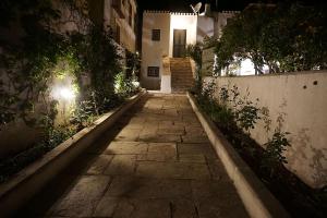 Two Olive Trees Spetses Greece