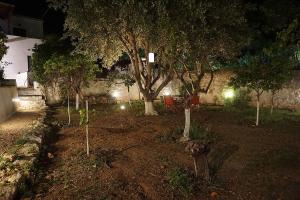 Two Olive Trees Spetses Greece