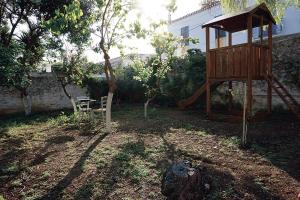 Two Olive Trees Spetses Greece