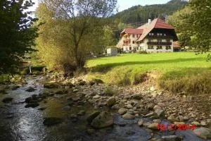 Urlaub auf dem Hänslehof - Elzach