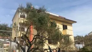 Begovi Dvori - Otok Rab