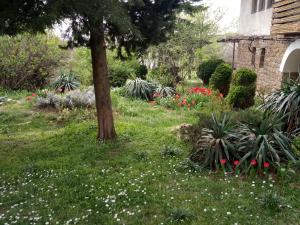Hotel Elena