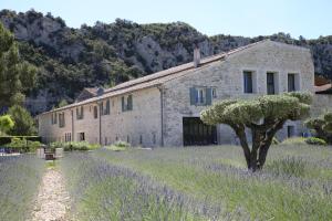 B&B / Chambres d'hotes Les Chambres Entre Vigne et Garrigue - Maison CHENET- Les Collectionneurs : photos des chambres