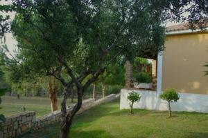Lithies Farm Houses Zakynthos Greece