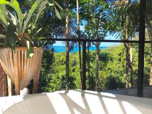 Daintree Magic Holiday House