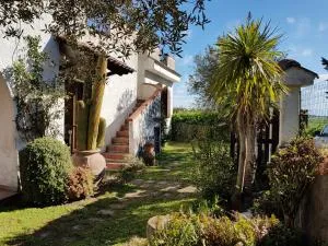 La Limonaia - Cancello