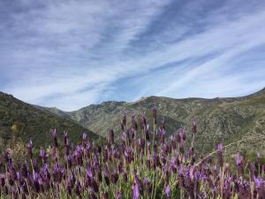 Casa Rural Sierra de Tormantos