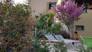 Piero's Apartment img27