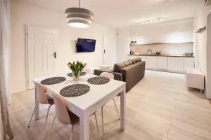 Apartamenty toruńskie pod Krzywą Wieżą - Toruń