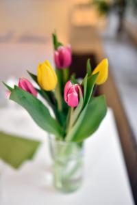 Zagreb Center Apartments