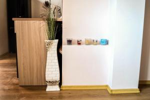 Central Apartment