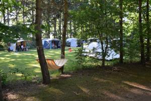 Camping het Horstmannsbos