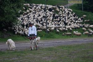 Noclegi u Marii - Koninki