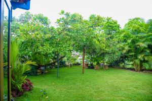Kandy Moon Hills Hotel