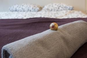 Duplex Apartment - 3 Bedrooms - Bright Living Room